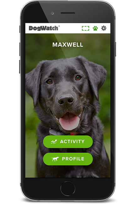 DogWatch Systems, Bolton, Massachusetts | SmartFence WebApp Image