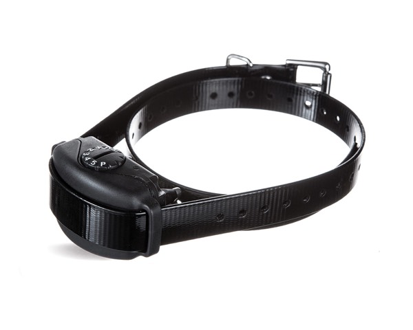 DogWatch Systems, Bolton, Massachusetts | BarkCollar No-Bark Trainer Product Image